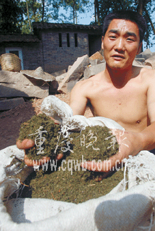 梁平云龍鎮(zhèn)政府“保護(hù)價”成空頭支票