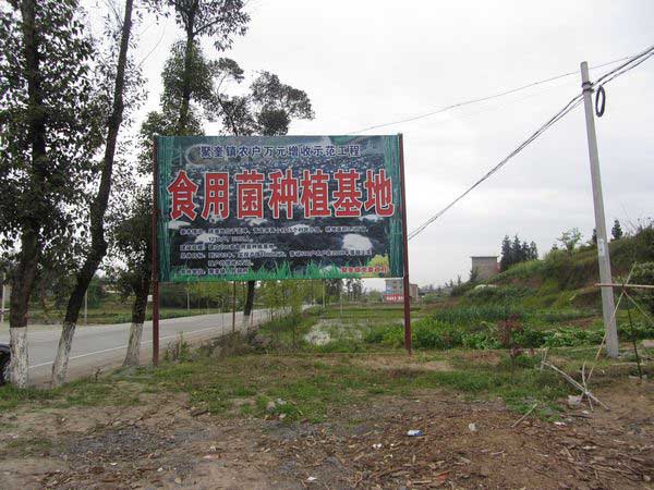 聚奎鎮(zhèn)食用菌種植基地建成投產(chǎn)