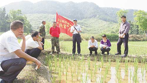 蟠龍鎮(zhèn)：科技講座到田間