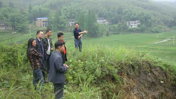 屏錦鎮(zhèn)及時(shí)處置一處地質(zhì)塌陷危害