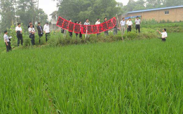 聚奎鎮(zhèn)及時防治稻飛虱 確保水稻增產(chǎn)增收