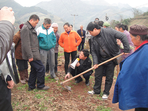 圖為縣林業(yè)局為大觀鎮(zhèn)村民指導(dǎo)油茶種植情況