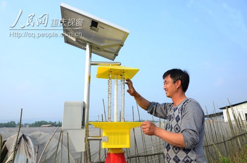 梁山街道：蔬菜基地用上太陽(yáng)能殺蟲燈