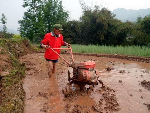 石安鎮(zhèn)：春雨緩解旱情 村民備耕忙