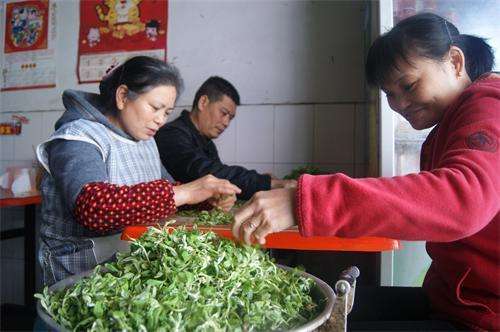 虎城鎮(zhèn)：家家戶(hù)戶(hù)吃清明菜粑粑過(guò)清明