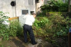 虎城鎮(zhèn)：緬懷革命先烈迎接首個(gè)烈士紀(jì)念日