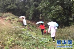 梁平區(qū)合興中心衛(wèi)生院：心系新生命 關(guān)愛重點人群