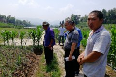 梁平和林鎮(zhèn)組織轄區(qū)貧困戶開展生姜種植技術(shù)培訓(xùn)