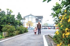 合興街道龍灘村真實蝶變
