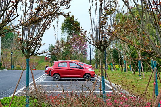 雙桂湖國家濕地公園新增生態(tài)停車場。通訊員  石楚園  攝